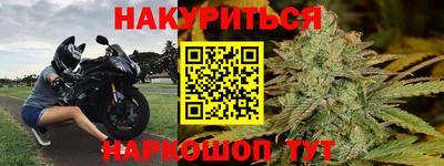 прущие грибы Волгодонск