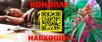 прущие грибы Волгодонск