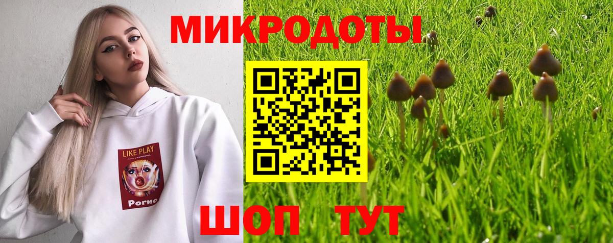 Псилоцибиновые грибы Psilocybe Нарткала