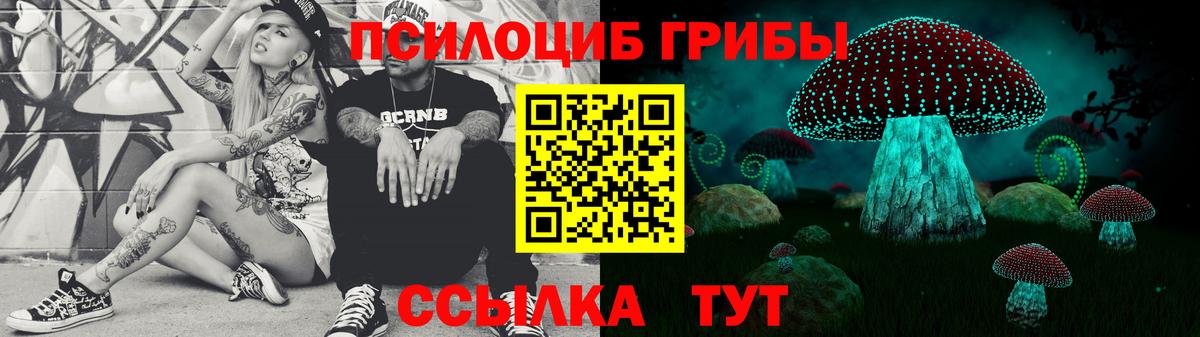 Псилоцибиновые грибы GOLDEN TEACHER  Вход с VPN  Нарткала  Псилоцибиновые грибы мицелий 